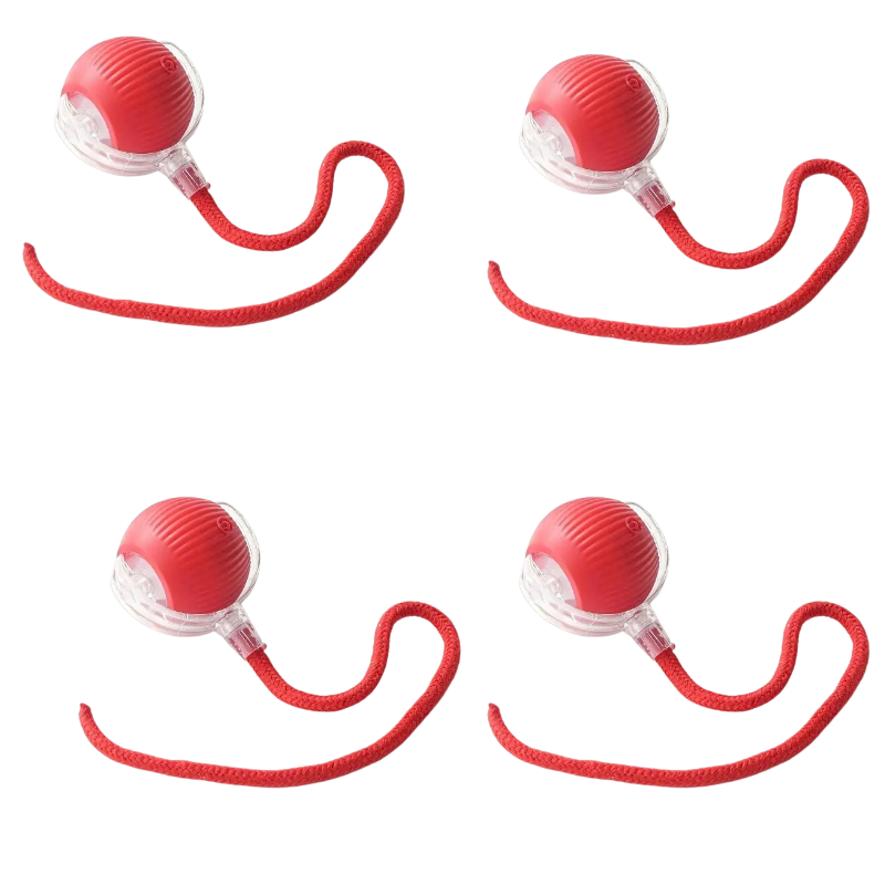 WhiskerPlay™